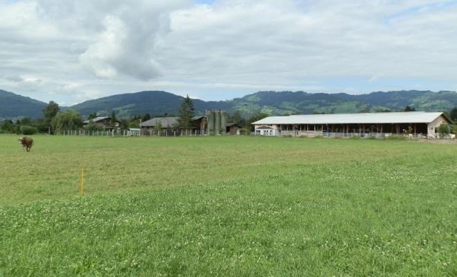 Steigmatt Bauernhof- Erlebnis Vila Montlingen Exterior foto