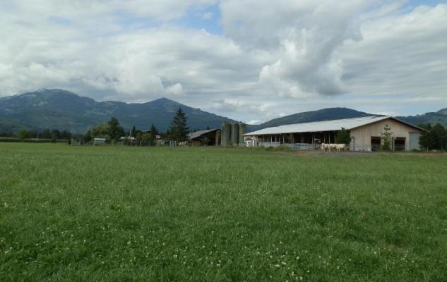 Steigmatt Bauernhof- Erlebnis Vila Montlingen Exterior foto