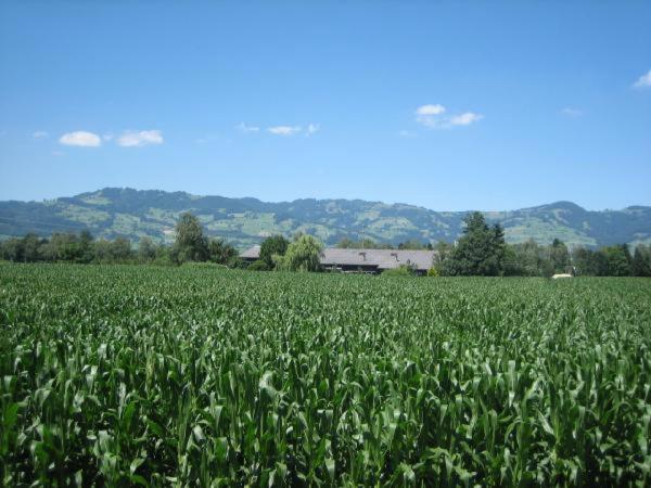Steigmatt Bauernhof- Erlebnis Vila Montlingen Exterior foto